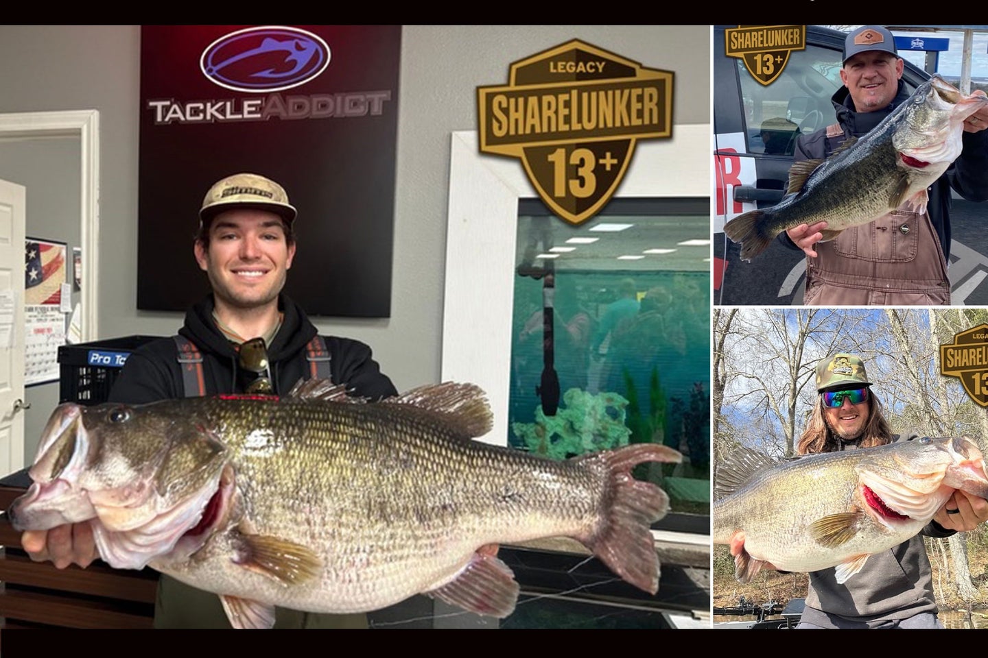 Three 13-Pound Largemouth Bass Caught in One Day in Texas