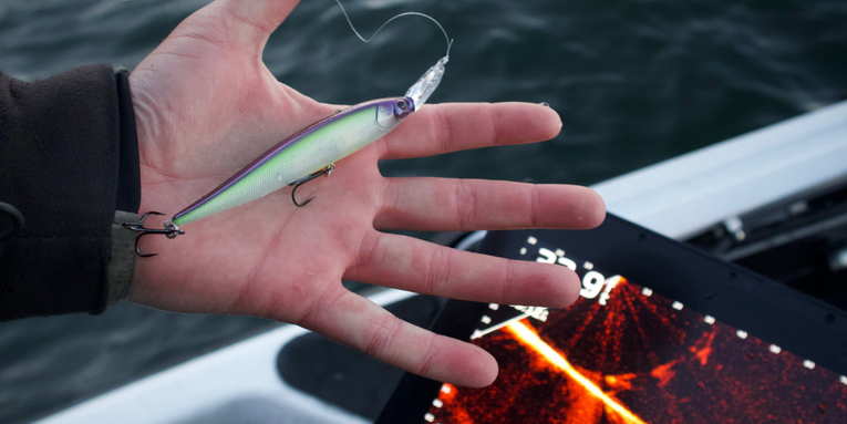 6 Forward-Facing Sonar Baits To Help You Catch More Fish