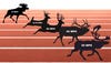 Graphic showing caribou, elk, mule deer, whitetail deer, and moose on track with speeds