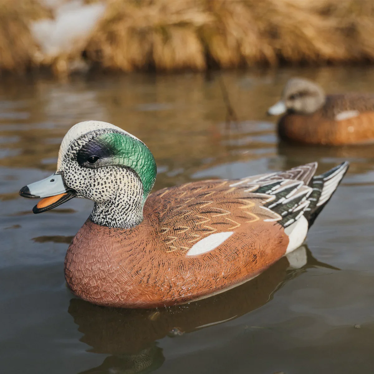 The Final Approach live floating drake wigeon decoy.