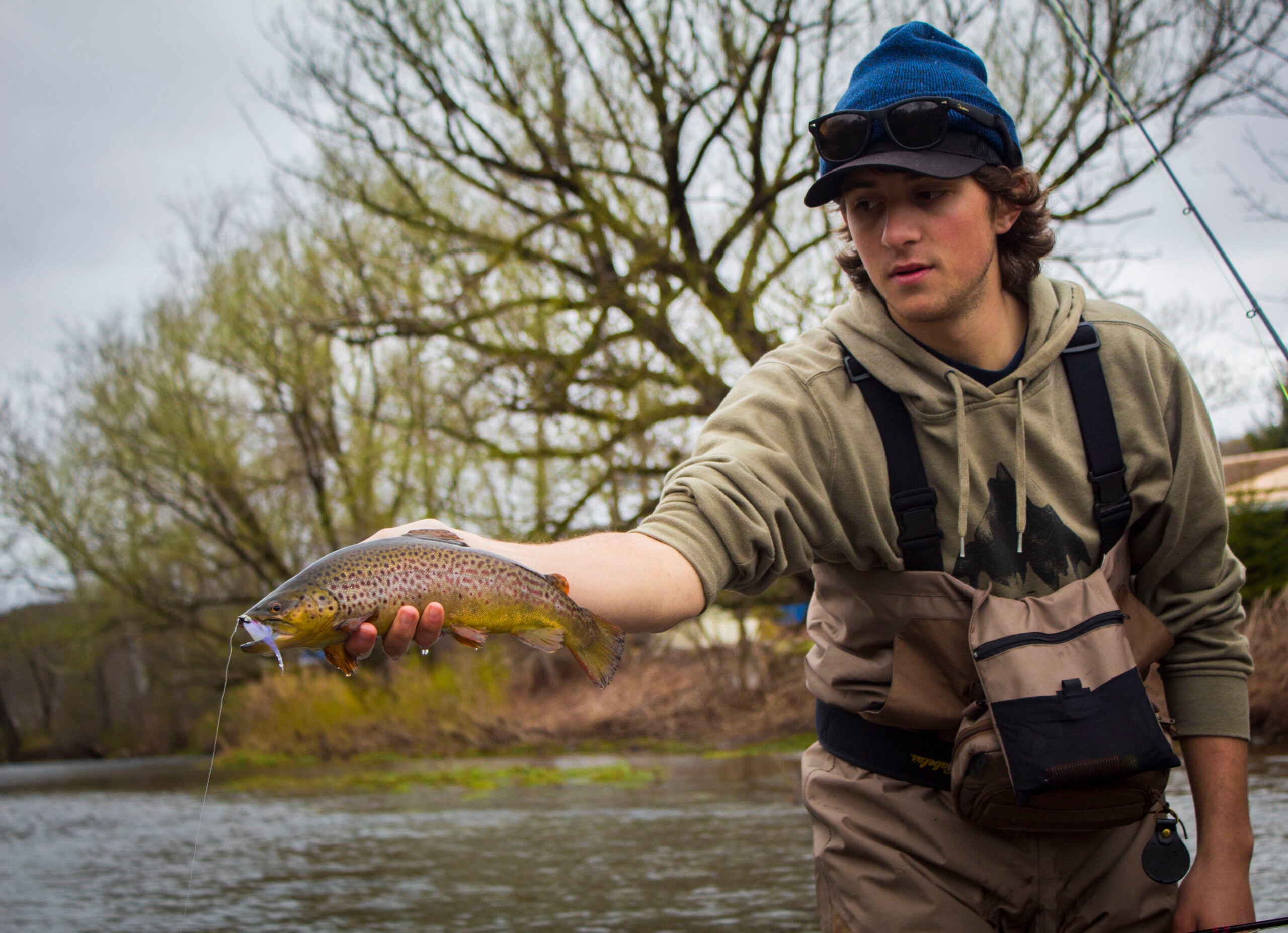 A fly fisherman holds a brown trout caught with a zonker on the Willowemoc River.