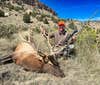 colorado elk hunting