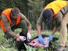 Two hunters wearing rubber gloves and orange vests skin a black bear to cool off the bear meat