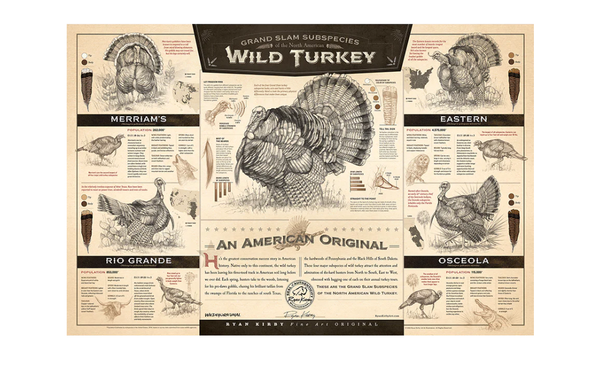 Ryan Kirby Wild Turkey Print