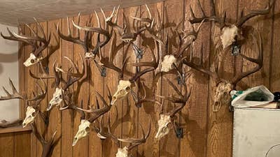 Dozens of Trophy Deer Heads Stolen from Canadian Hunter’s Cabin