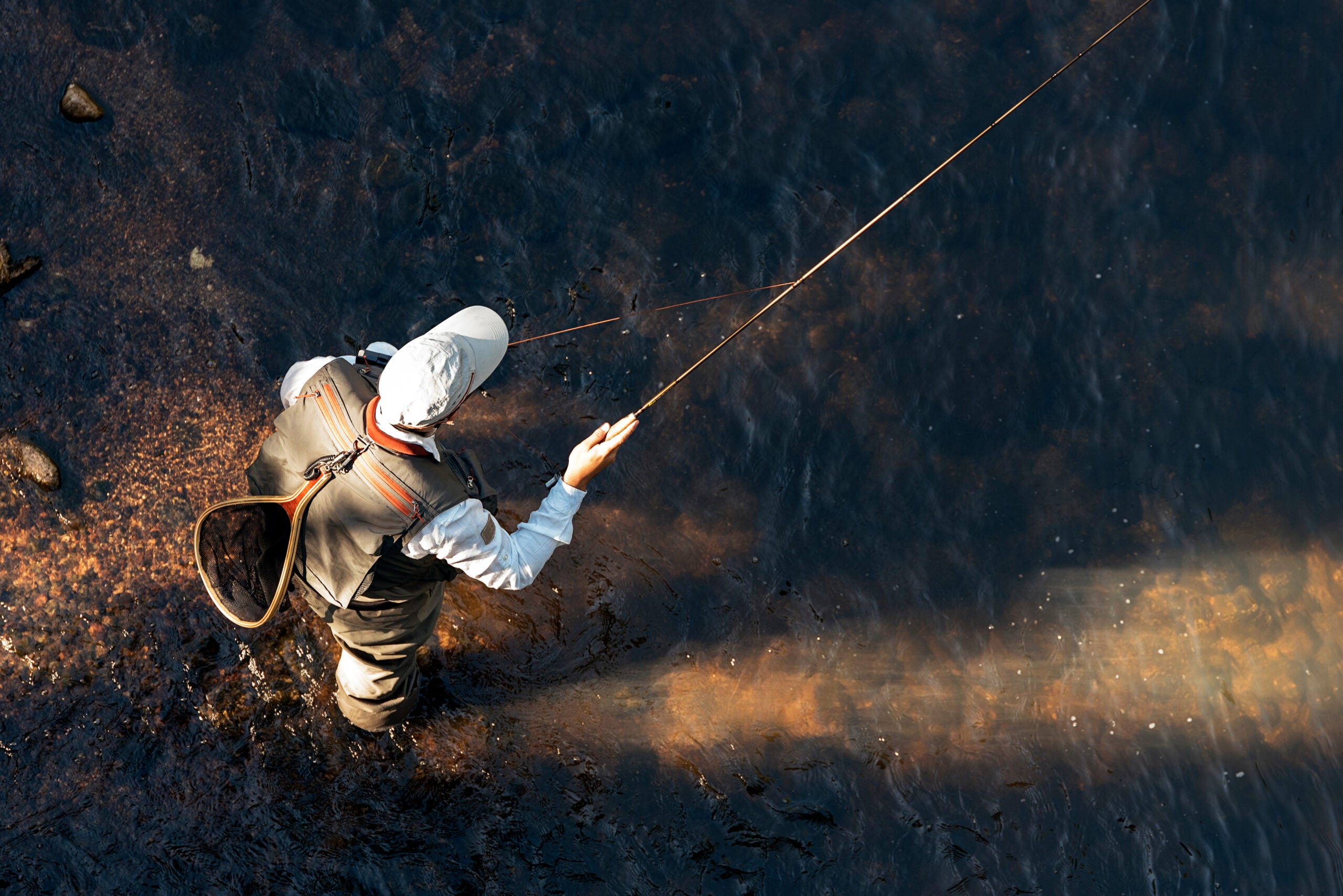Fly fisherman casts a fly rod in a stream