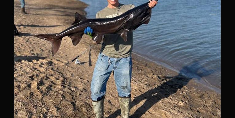 Angler Snags Rare Black-Colored Paddlefish in Oklahoma