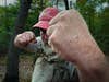 A man shows his fists to demonstrate how to fight a black bear.