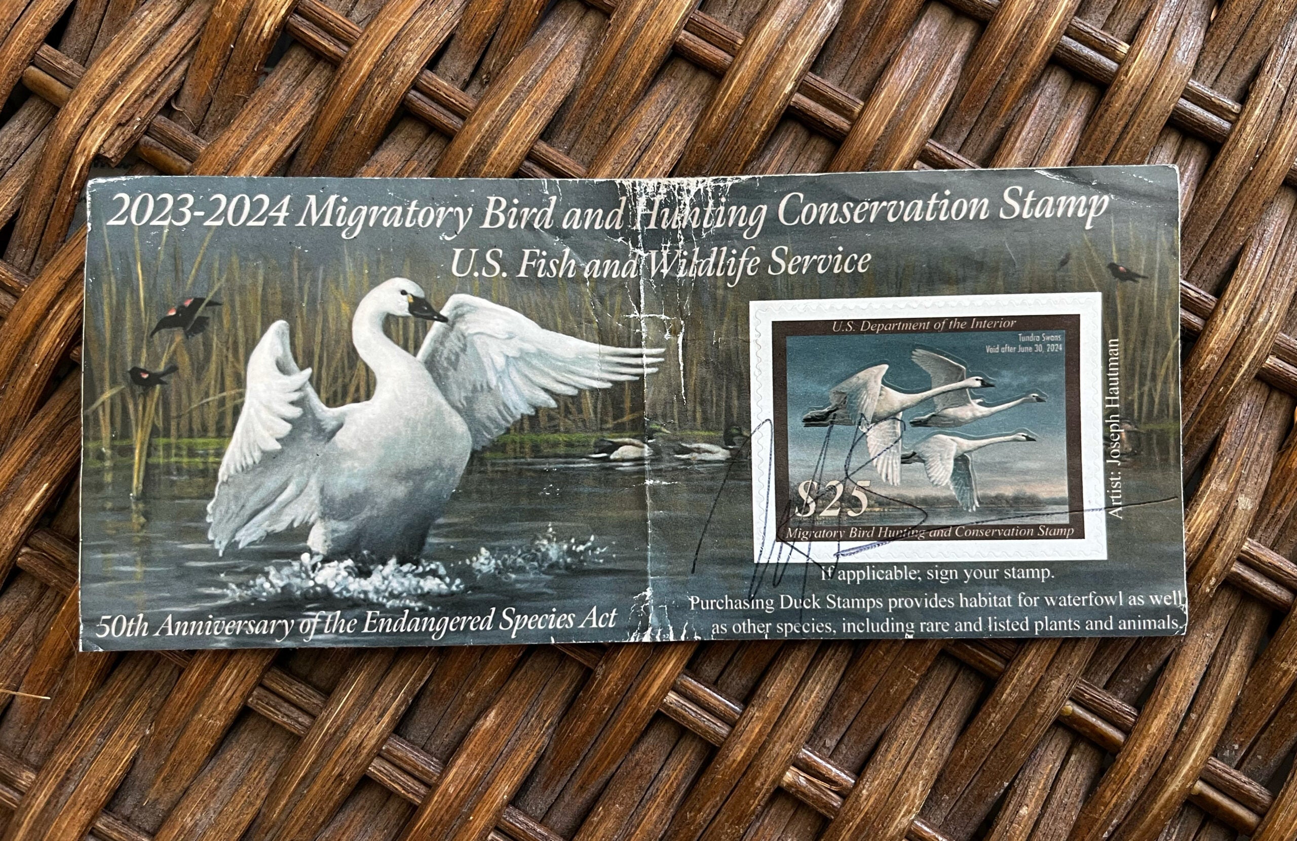 Photo of the 2023-2024 federal duck stamp sitting on a whicker chair