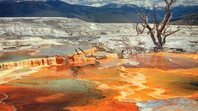 Actor Fined For Walking on Thermal Features in Yellowstone