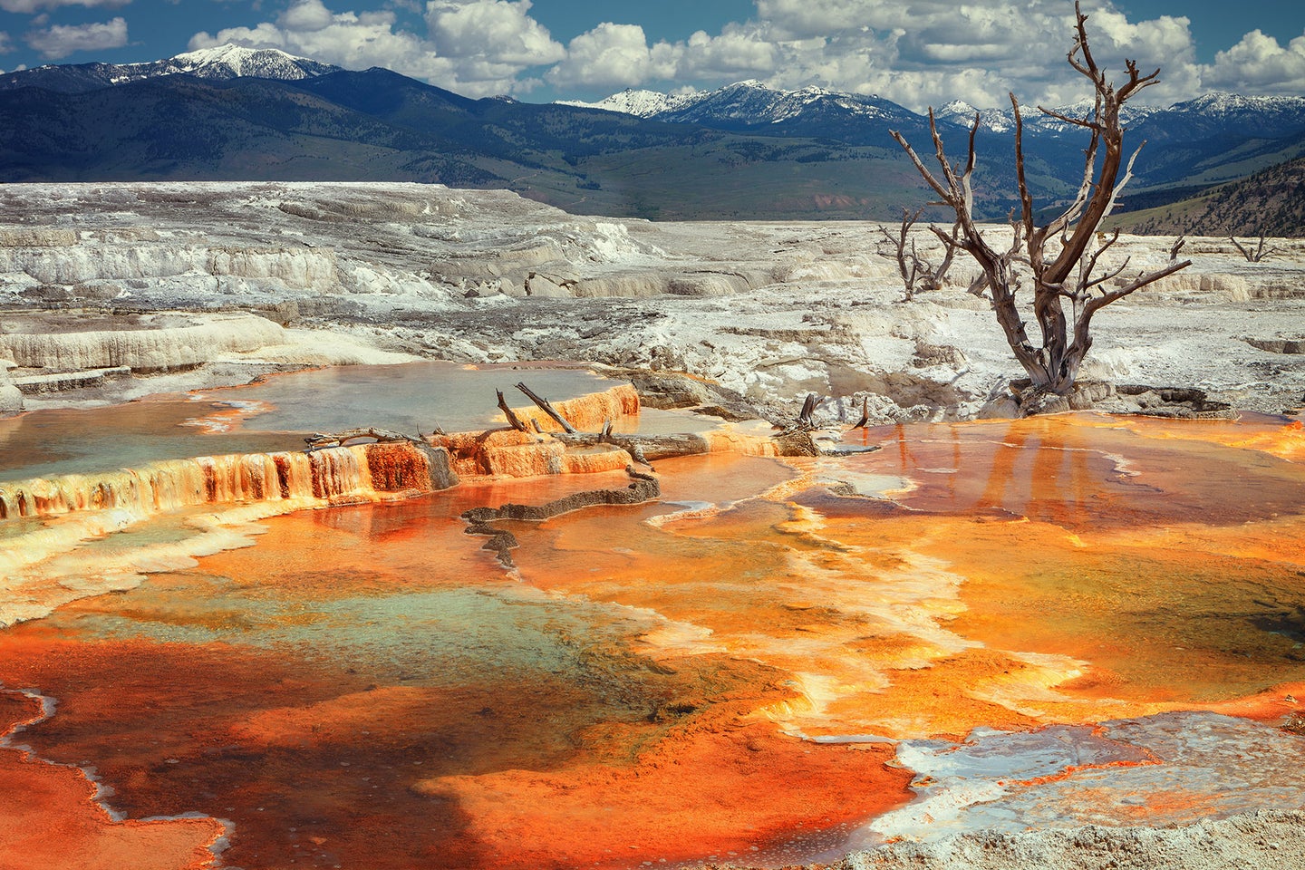 The Mammoth Hot Spring Terraces in Yellowstone National Park.