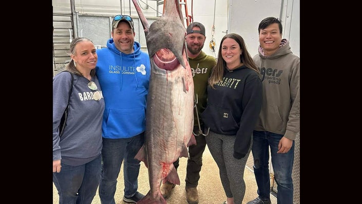 Angler Snags Giant World Record Paddlefish at Missouri’s Lake of the Ozarks