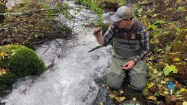 Trout Unlimited Identifies Hundreds of Highly Threatened Fisheries Across the U.S.