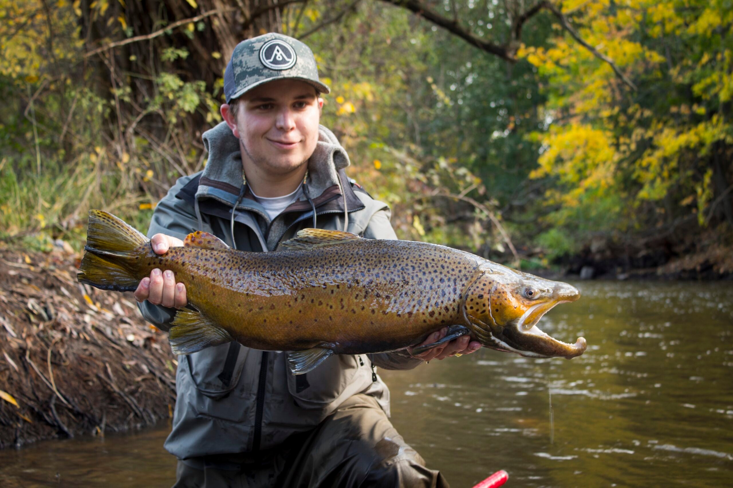 A 30-inch brown trout caught on a Lake Ontario tributary. 