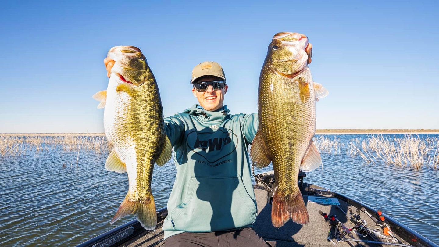 An angler in a boat hoists two big largemouth bass with lake and blue sky in background