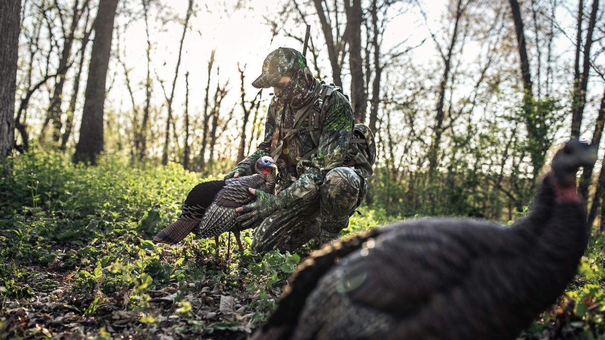Turkey hunter setting up Avian-X turkey decoys in the woods