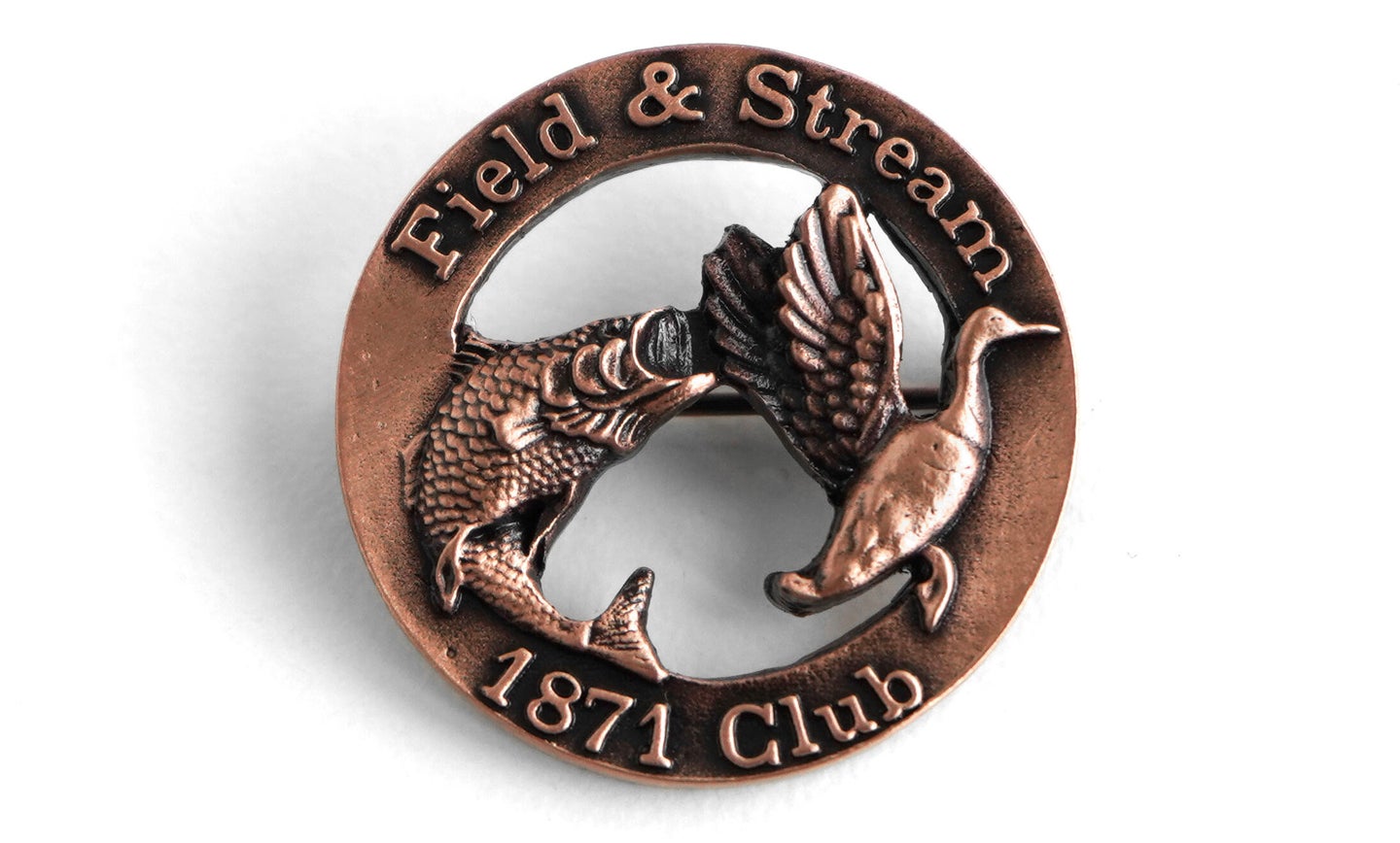 A copper field and stream honor badge pin with a fish and duck on the front.