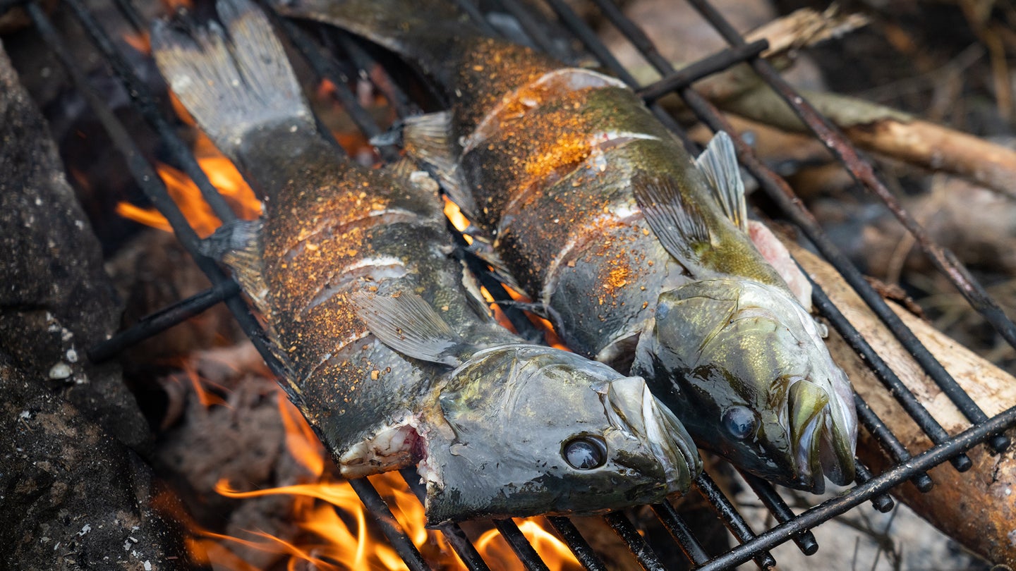 Two smallmouth bass being cooked on a wire grill over an open fire