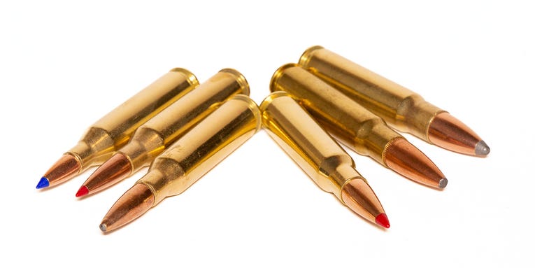 The Great 308 Family of Hunting Cartridges
