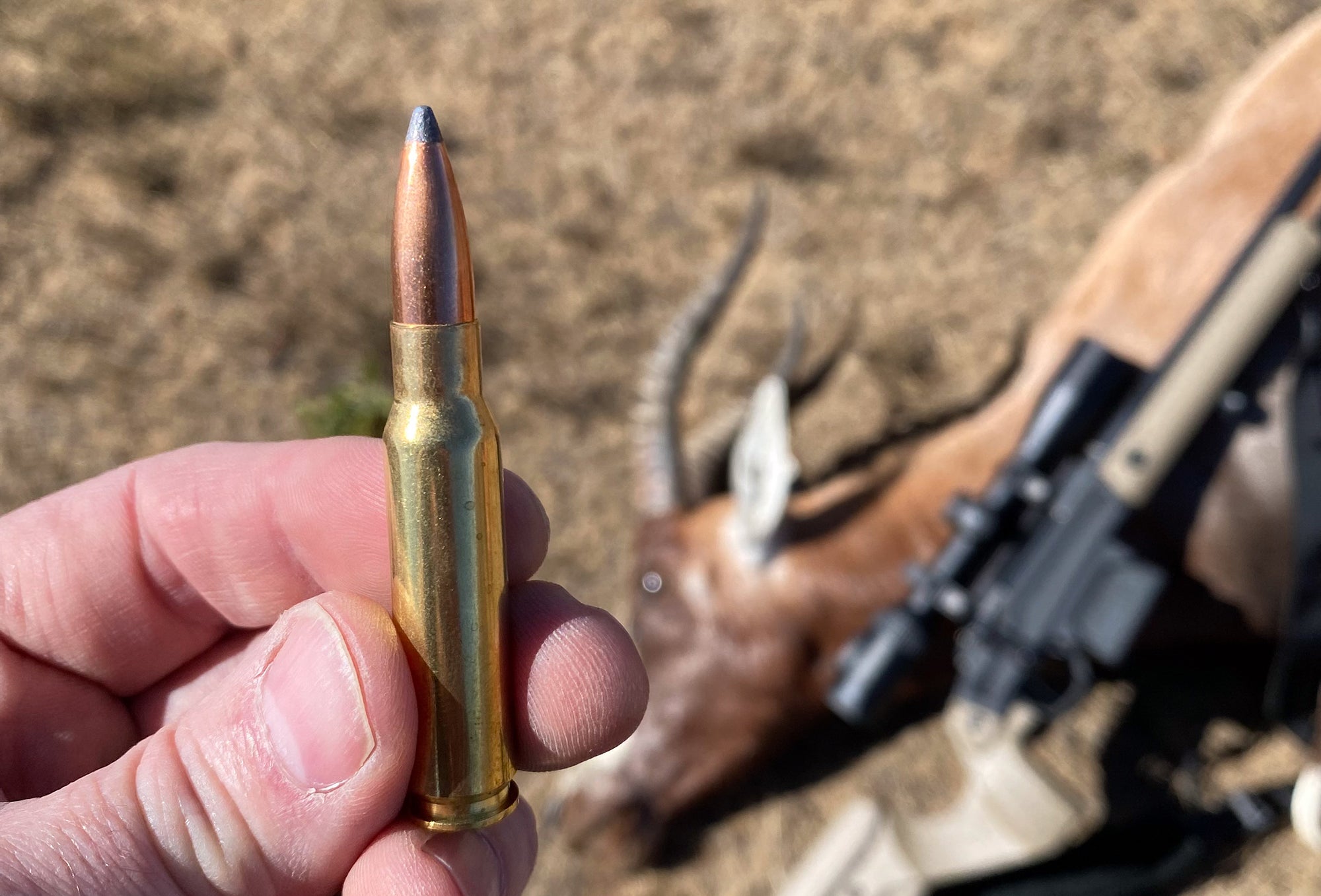A hunter holding up a 308 Winchester cartridge with an impala in the background