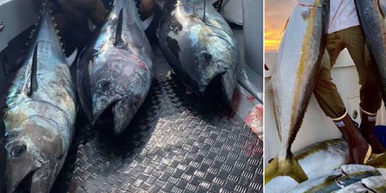 Poachers Busted Selling Thousands of Pounds of Tuna and Mahi Mahi in California