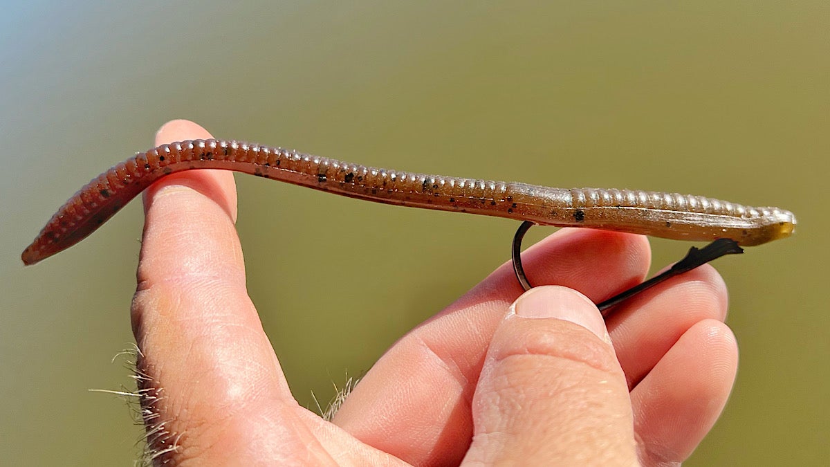 An angler hold up a soft-plastic worm rigged weightless