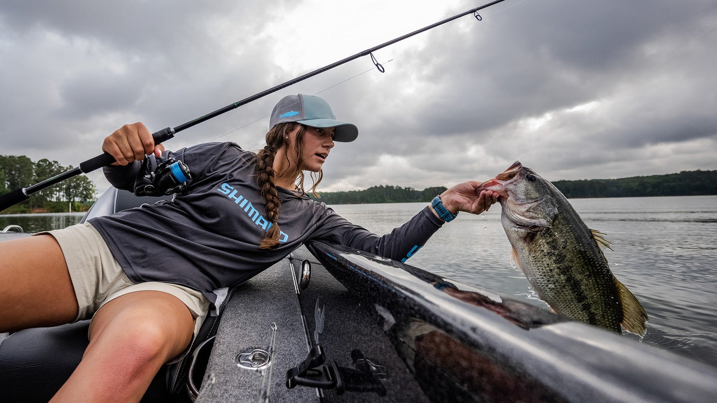 Bass Fishing Rigs You Should Know