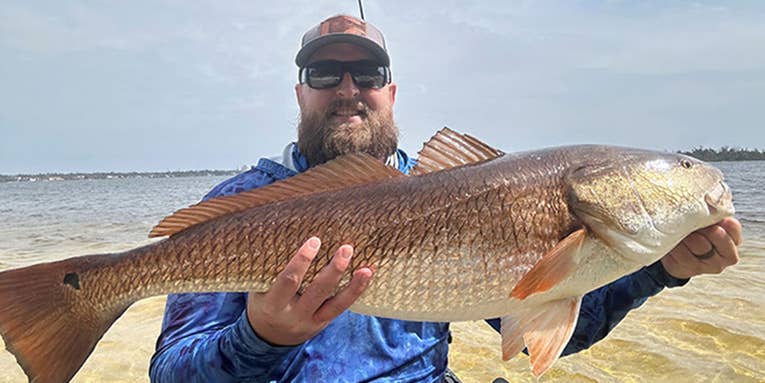 Kayak Angler Nets Length-Record Redfish Near Panama City, Florida
