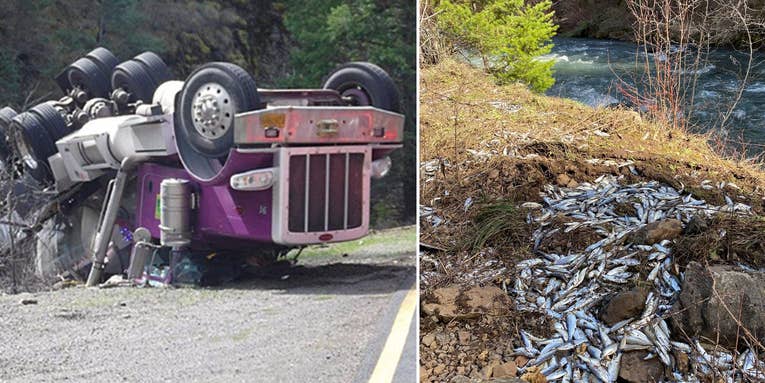An Oregon Tanker Truck Carrying More Than 100,000 Hatchery Salmon Crashed Into the Wrong River