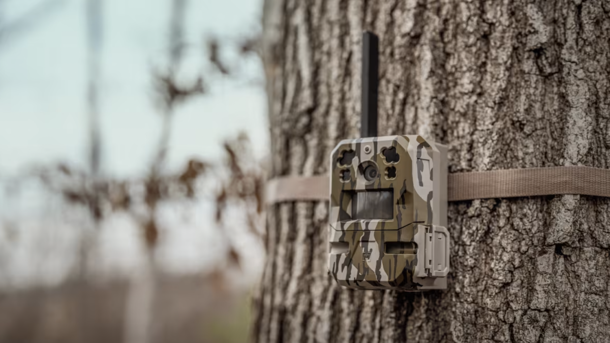 Moultrie Mobile Trail Camera mounted on tree