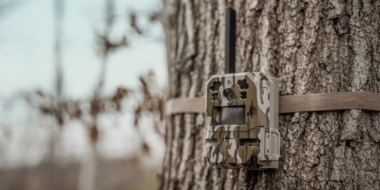 The Best Trail Camera Deals Right Now—Up to 62% Off