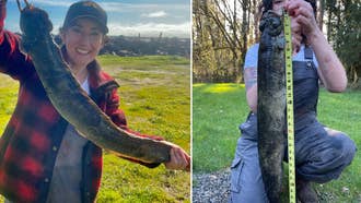 Get Snake-Bit: Catching Snakeheads on Topwater Lures Is Fishing's Most  Addictive Bite