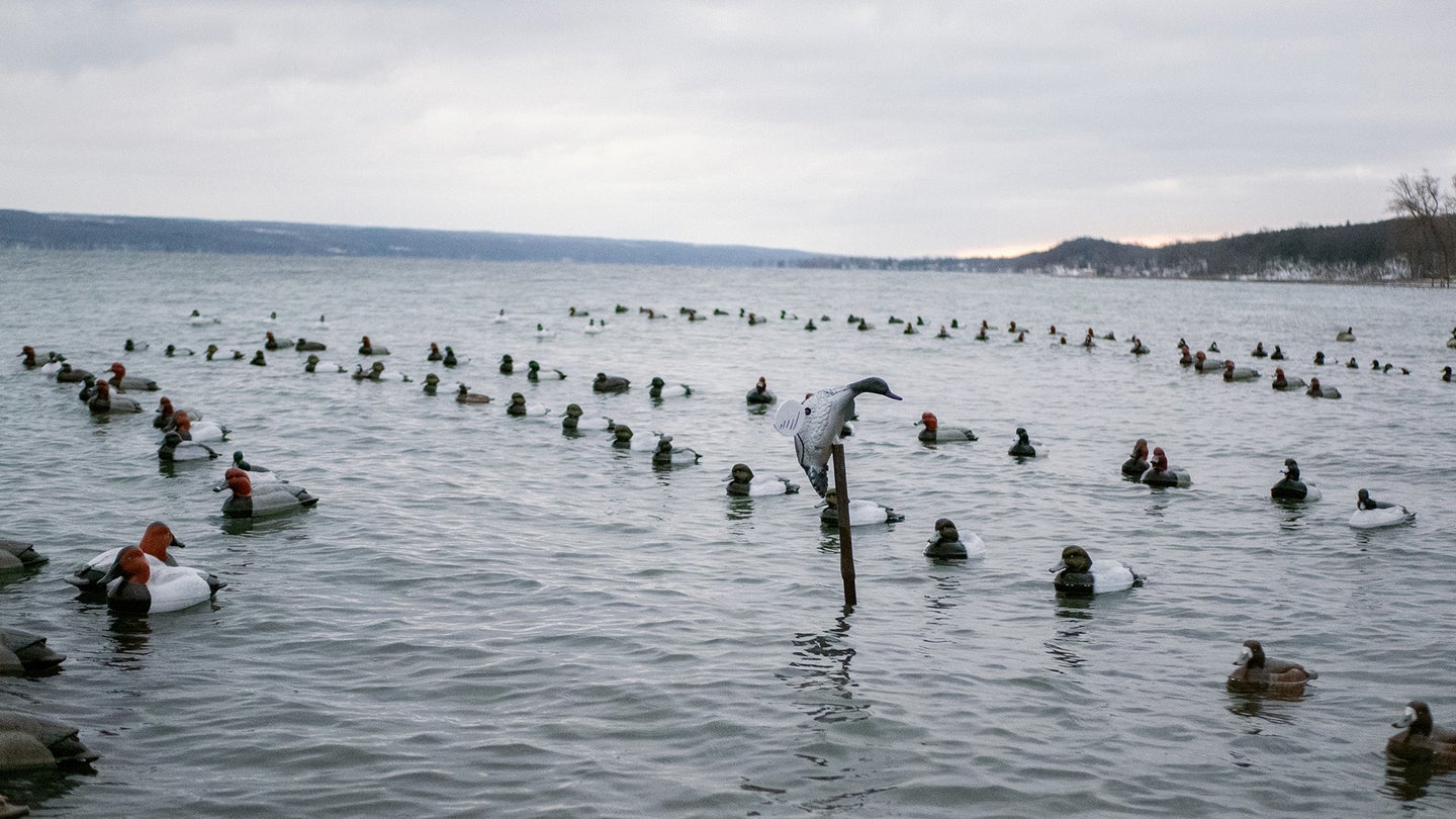 Long lines are one of the most common decoy spreads for diver hunting.