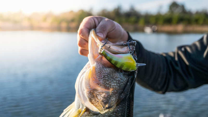 Bass Pro Is Having a Huge Sale on Fishing Gear Right Now—Up to 54% Off