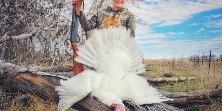 Young Hunter Tags Rare All-White Turkey in North Dakota