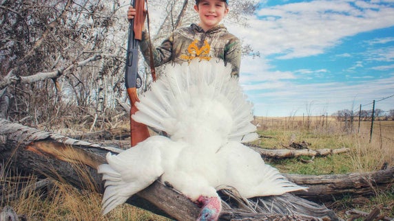 Young Hunter Tags Rare All-White Turkey in North Dakota