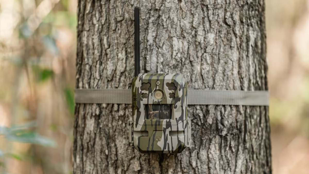Moultrie Mobile Edge Pro Cellular Trail Camera mounted on tree