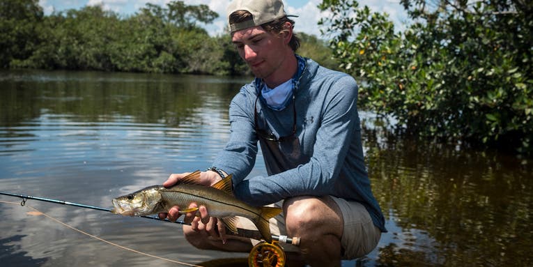Snook Fishing 101: A Beginner’s Guide
