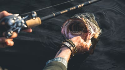 How to Fish the Best Day of the Spawn No. 4: April 23