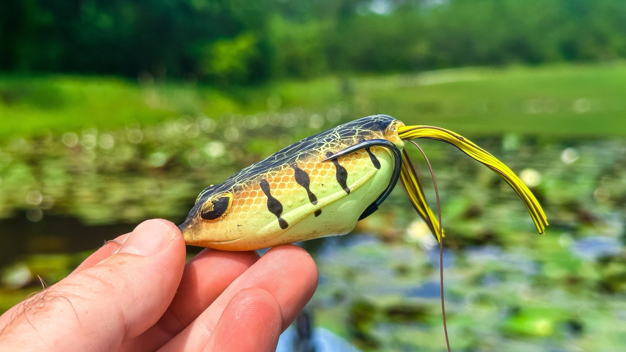 An angler holds a hollow-body topwater frog lure with lily pads in the background.