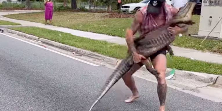 Watch: MMA Fighter Man Handles Large Alligator in the Middle of a Busy Florida Street