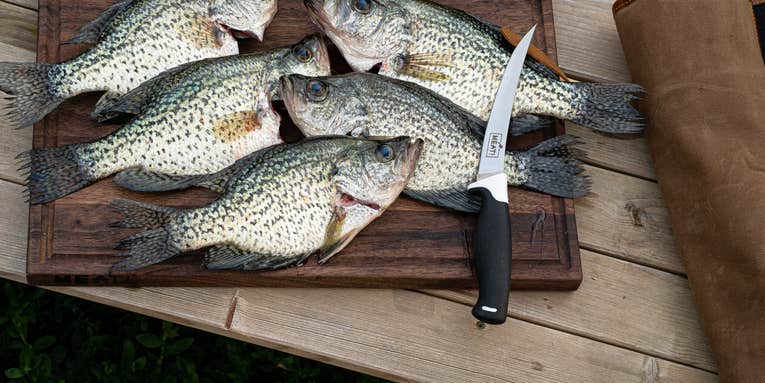 The Best Crappie Recipes