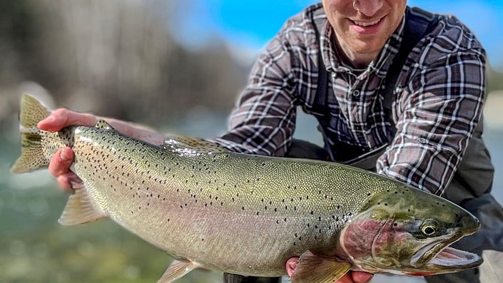 Fly Fisherman Nets 25-Inch Cutthroat Trout, Breaks Idaho State Record