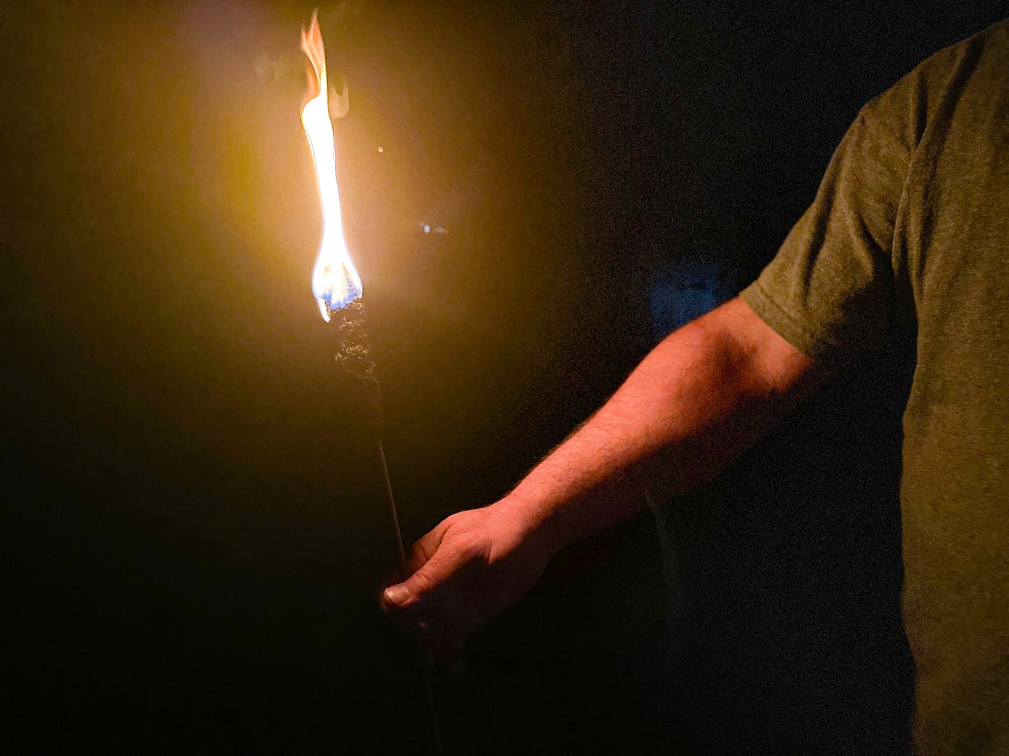 A person holds a cattail that is set on fire in the dark