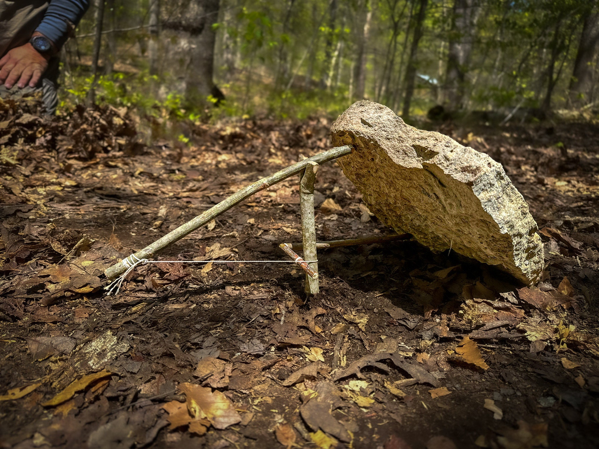 A deadfall trap made from sticks, string, and stone.