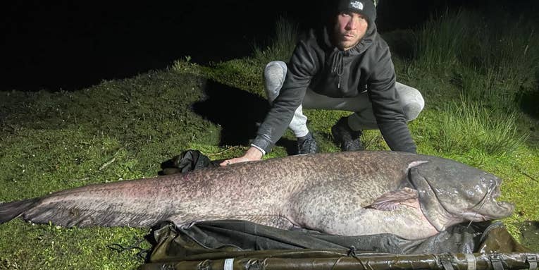 Angler Catches Biggest Freshwater Fish Ever Documented in the United Kingdom