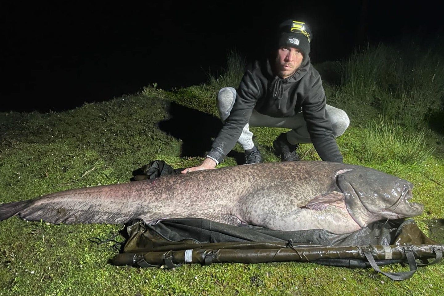 An angler poses with a record-breaking wels catfish.