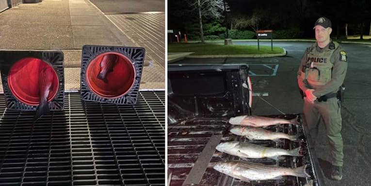 New York Poachers Busted After Hiding Striped Bass Under Sand and in Traffic Cones