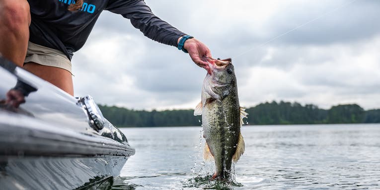 How to Fish the Best Day of the Bass Spawn No. 5: May 10