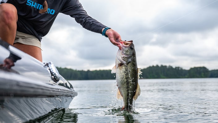 How to Fish the Best Day of the Bass Spawn No. 5: May 10